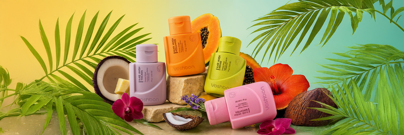 Discover Our Collections